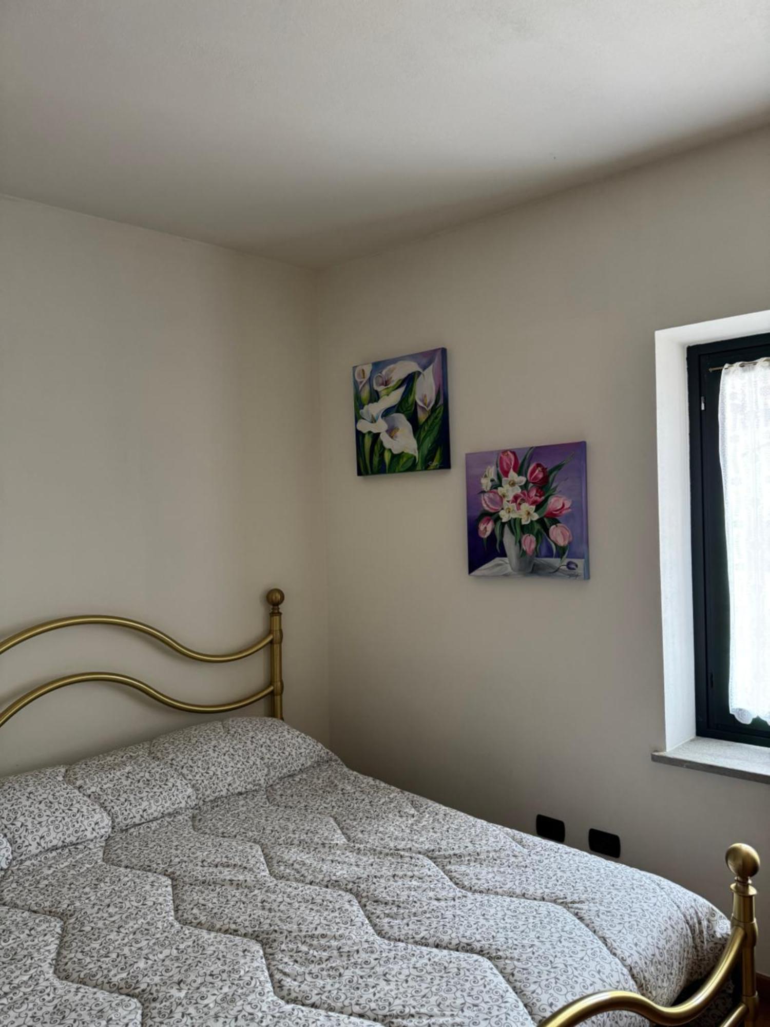 B&B Il Glicine Antignano  Exterior photo